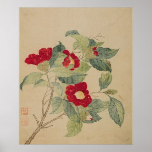 Kamelien von Ma Yuanyu Poster Druck
