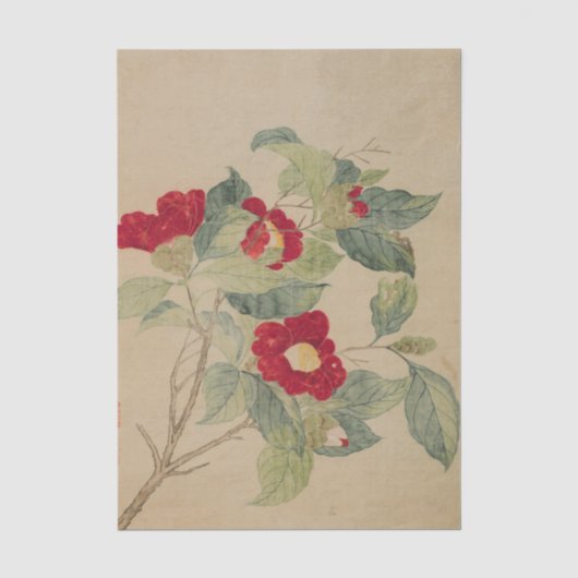 Kamelien von Ma Yuanyu Seidenpapier (Vorderseite)