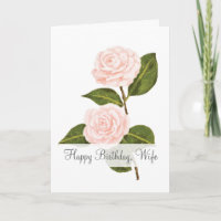 Kamelien zum Geburtstag der Ehefrau Bloom