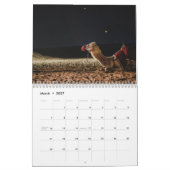 Kamelkalender 2025 kalender (Mär 2027)