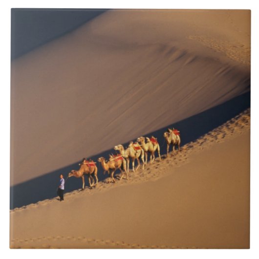 Kamelkarawane auf der Wüste, Dunhuang, Gansu Fliese (Vorderseite)