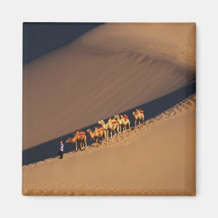 Kamelkarawane in der Wüste, Dunhuang, Gansu Magnet