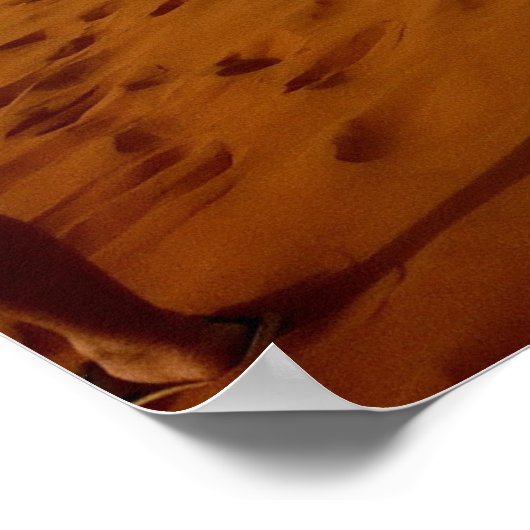 Kamelkarawane Wüste schöne Landschaft Poster (Ecke)