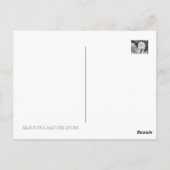 Kamellia sasanqua "Otom" [Postkarte] Postkarte (Rückseite)