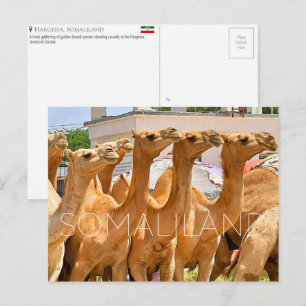 Kamelmarkt, Hargeisa, Somaliland Reise-Postkarte Postkarte