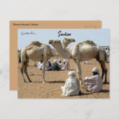 Kamelmarkt im Sudan Postkarte (Vorne/Hinten)