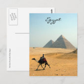 Kamelpyramide Postkarte (Vorne/Hinten)