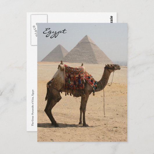 Kamelpyramide Postkarte (Vorne/Hinten)