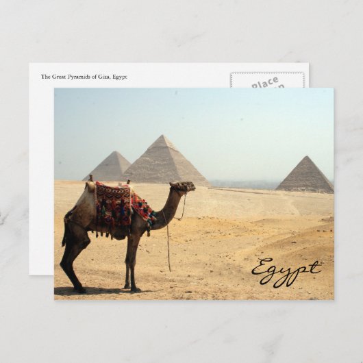 Kamelpyramide Postkarte (Vorne/Hinten)