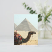 Kamelpyramide Postkarte (Stehend Vorderseite)