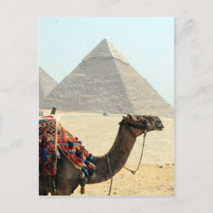 Kamelpyramide Postkarte