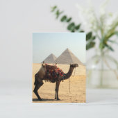 Kamelpyramiden Postkarte (Stehend Vorderseite)