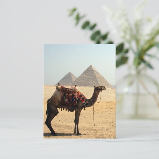 Kamelpyramiden Postkarte (Stehend Vorderseite)