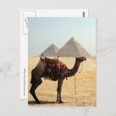 Kamelpyramiden Postkarte (Vorne/Hinten)