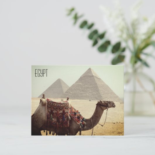 Kamelpyramidenspalte Postkarte (Stehend Vorderseite)
