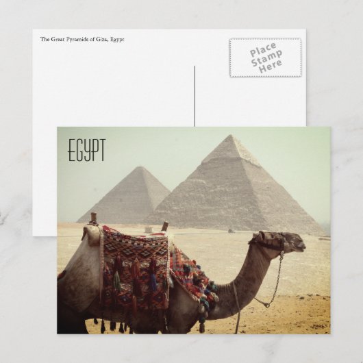 Kamelpyramidenspalte Postkarte (Vorne/Hinten)