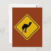 Kamelstraßenzeichen Postkarte (Vorne/Hinten)