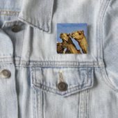 Kameltrio, Kamelmarkt, Kairo, Ägypten Button (Beispiel)