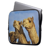 Kameltrio, Kamelmarkt, Kairo, Ägypten Laptopschutzhülle (Vorderseite Links)