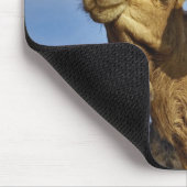 Kameltrio, Kamelmarkt, Kairo, Ägypten Mousepad (Ecke)