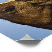 Kameltrio, Kamelmarkt, Kairo, Ägypten Poster (Ecke)