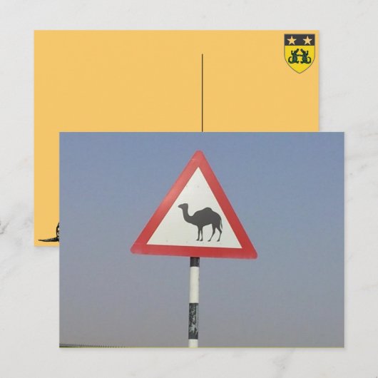 Kamelüberquerung Postkarte (Vorne/Hinten)