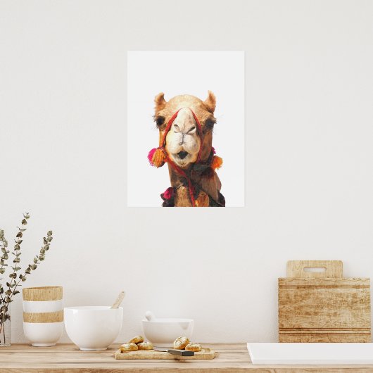 Kamelwüstenportrait Poster (Küche)