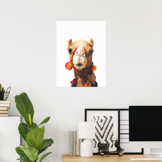 Kamelwüstenportrait Poster (Heimbüro)