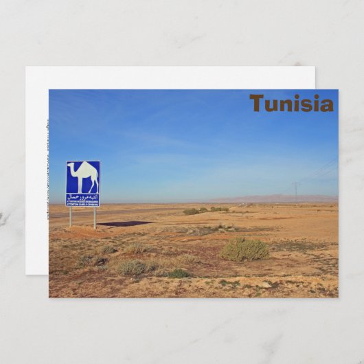 Kamelzeichen, tunesische Karte (Vorne/Hinten)