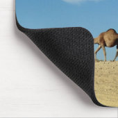 Kamelzug Mousepad (Ecke)