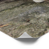 Kamera für Stift Vs - 4 Augen-Katze Poster (Ecke)