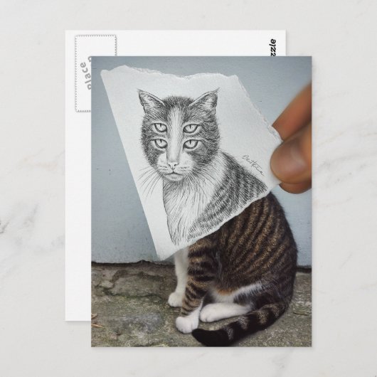 Kamera für Stift Vs - 4 Augen-Katze Postkarte (Vorne/Hinten)