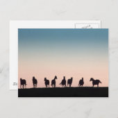 Kamera schüchtern! postkarte (Vorne/Hinten)