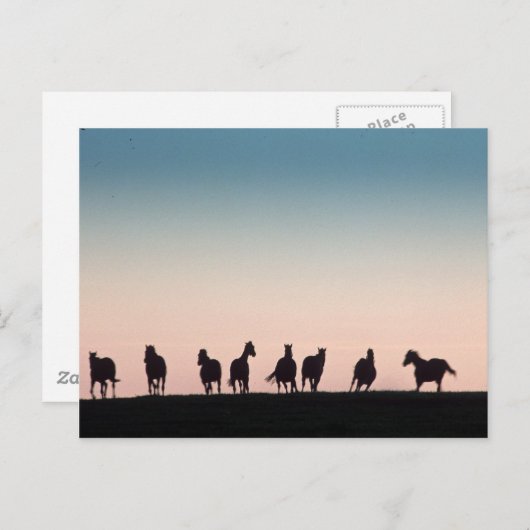 Kamera schüchtern! postkarte (Vorne/Hinten)