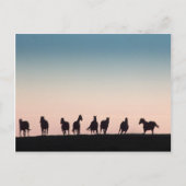 Kamera schüchtern! postkarte (Vorderseite)