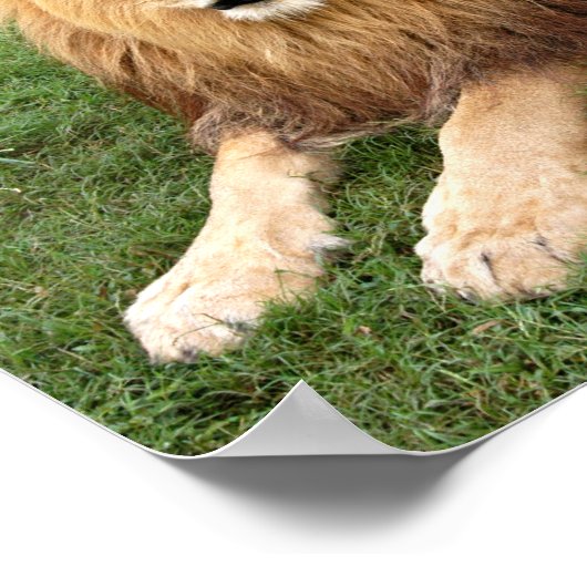 Kameron 1 11 x 11 poster (Ecke)