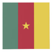 Kamerun Flagge Würfel (Rechts)