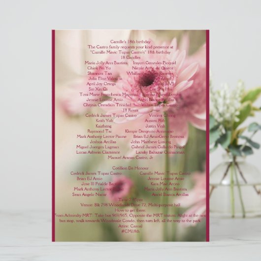 KAMILLE 18. PROGRAMM (Stehend Vorderseite)