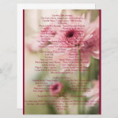 KAMILLE 18. PROGRAMM (Vorne/Hinten)