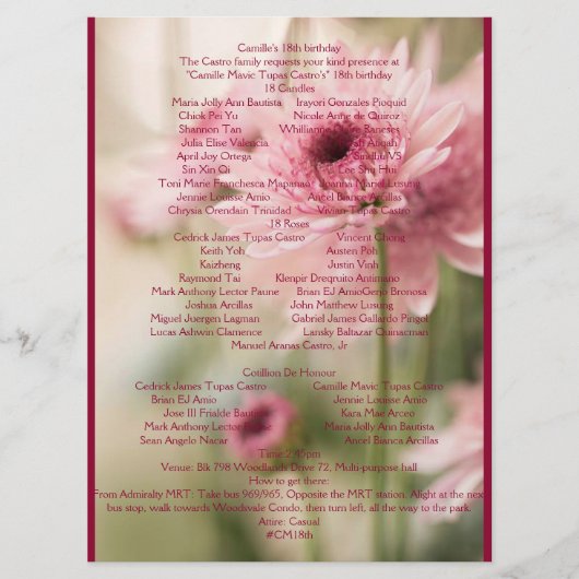 KAMILLE 18. PROGRAMM (Vorderseite)