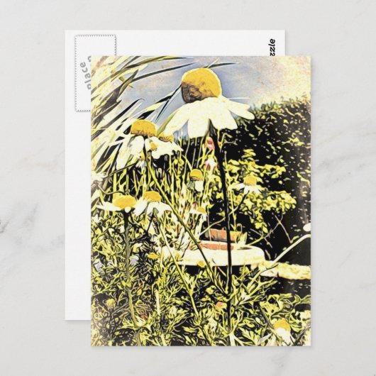 Kamille Blume (antiker Stil) Postkarte (Vorne/Hinten)