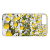 Kamilleblüte Nahaufnahme, Ungarn Case-Mate iPhone Hülle (Rückseite (Horizontal))