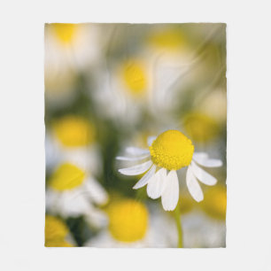 Kamilleblüte Nahaufnahme, Ungarn Fleecedecke