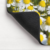 Kamillefeld, Ungarn Mousepad (Ecke)