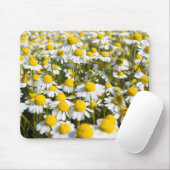Kamillefeld, Ungarn Mousepad (Mit Mouse)