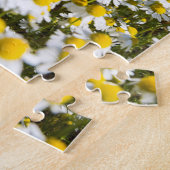 Kamillefeld, Ungarn Puzzle (Seite)