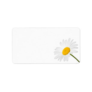 Kamillen-Blume abgeschieden auf weißem Hintergrun Adressaufkleber