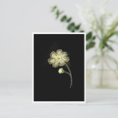 Kamillen-Glanz  Postkarte (Stehend Vorderseite)