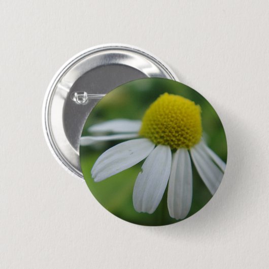 Kamillenblüte Button (Vorne & Hinten)