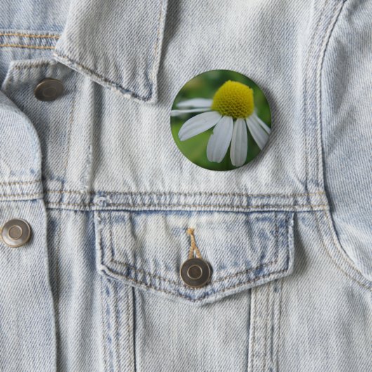 Kamillenblüte Button (Beispiel)